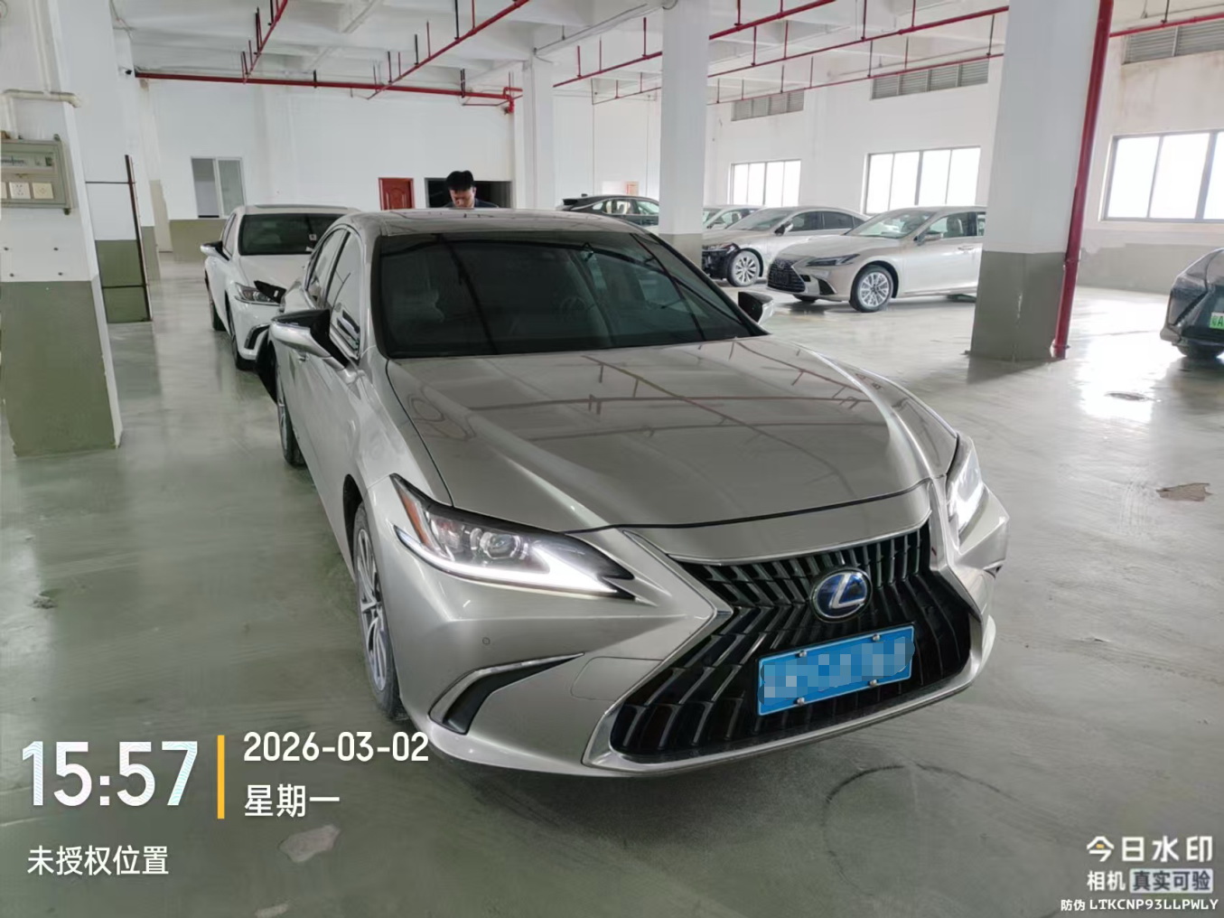 车辆图片-5